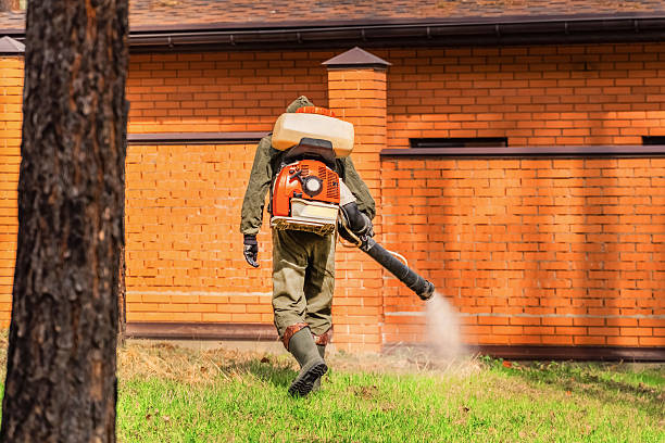 Trusted Rodent Control service in Mountain Lodge Park, NY - Nex Pest Control